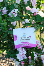 Load image into Gallery viewer, Sore Throat & Cough Care Lollipops; Honey, Elderberry