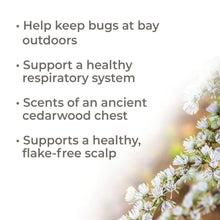 Load image into Gallery viewer, Organic Australian Sandalwood Essential Oil 5 mL