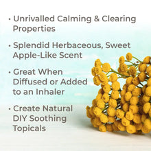 Load image into Gallery viewer, Organic Blue Tansy Essential Oil 2.5 mL