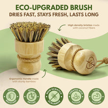 Load image into Gallery viewer, Natural Cleaning Dish Brush Coconut