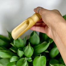 Load image into Gallery viewer, Bamboo Scoop - 1 Tbsp