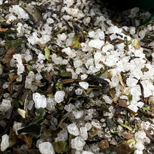 Load image into Gallery viewer, Serenity Soak - Dreamsicle