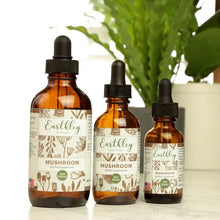 Load image into Gallery viewer, Mushroom Tincture