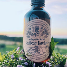 Load image into Gallery viewer, Skullcap Tincture