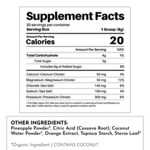 Load image into Gallery viewer, Electrolyte Powder by Just Ingredients