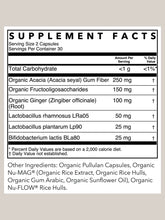 Load image into Gallery viewer, Gut + Digestive Probiotic Support | 60 Capsules