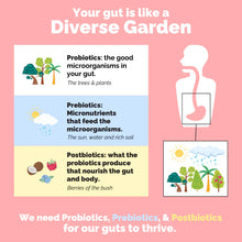 Load image into Gallery viewer, Probiotic Complex by Just Ingredients