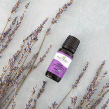 Load image into Gallery viewer, Organic Lavender Fine Essential Oil 10 mL