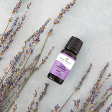 Load image into Gallery viewer, Organic Lavender Essential Oil 10 mL