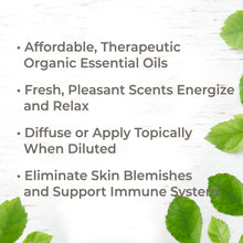 Load image into Gallery viewer, Top 6 Organic Singles Essential Oil Set