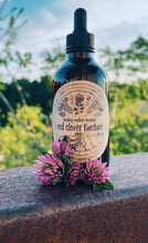 Load image into Gallery viewer, Red Clover Tincture