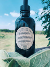 Load image into Gallery viewer, Mullein Tincture