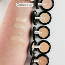 Load image into Gallery viewer, Concealer - clean + organic