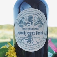 Load image into Gallery viewer, Immunity Balance Tincture
