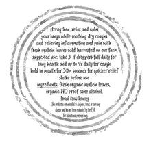 Load image into Gallery viewer, Mullein Tincture