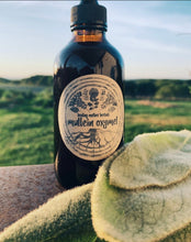 Load image into Gallery viewer, Mullein Oxymel Syrup