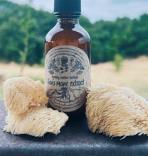 Load image into Gallery viewer, Lion’s Mane Extract