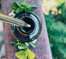 Load image into Gallery viewer, Gut Goodness Tincture