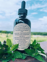 Load image into Gallery viewer, Gut Goodness Tincture