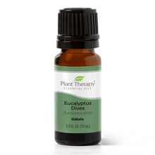 Load image into Gallery viewer, Eucalyptus Dives Essential Oil 10 mL