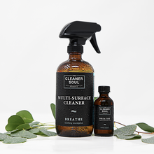 Load image into Gallery viewer, Cleaner Soul Non-Toxic Cleaner Concentrate