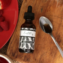 Load image into Gallery viewer, Master Tonic Herbal Tincture