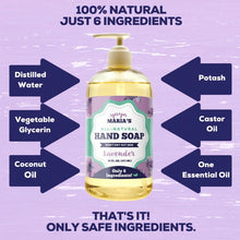 Load image into Gallery viewer, Non-Toxic Hand Soap Refill