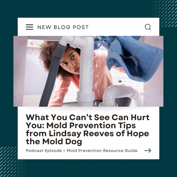 What You Can’t See Can Hurt You: Mold Prevention Tips from Lindsay Reeves of Hope the Mold Dog