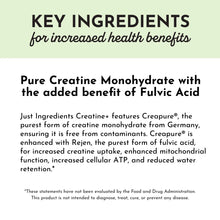 Load image into Gallery viewer, Creatine+ by Just Ingredients
