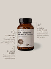 Load image into Gallery viewer, Gut + Digestive Probiotic Support | 60 Capsules
