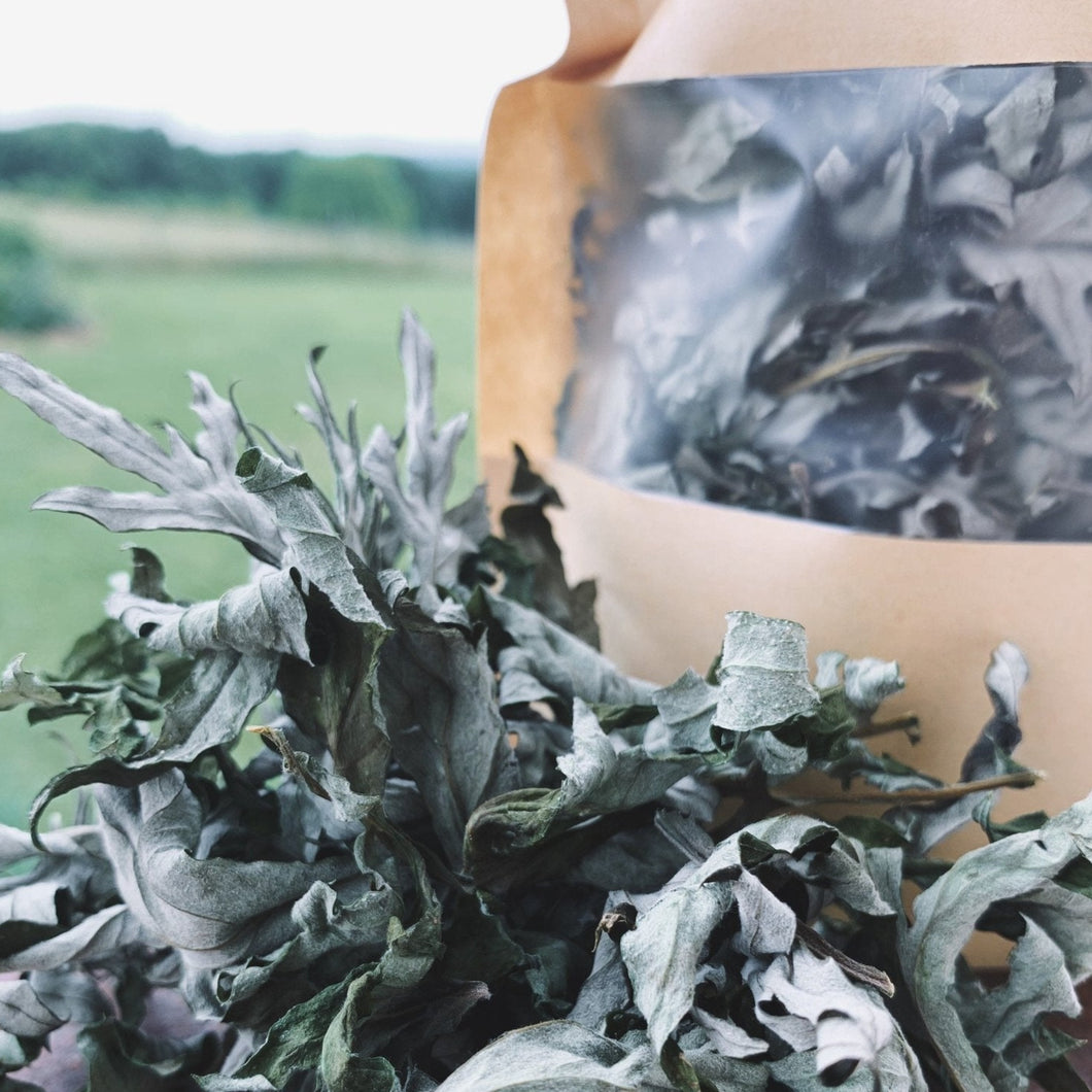 Dried Mugwort Leaves & Flowers