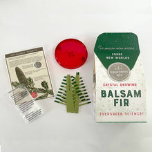 Load image into Gallery viewer, Crystal Growing Balsam Fir |
Christmas STEM craft kit
