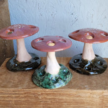 Load image into Gallery viewer, Locally-made Mushroom Propagation Station
